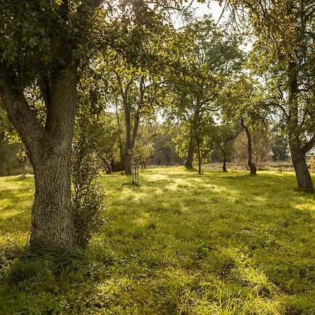 Tatil Evi Wide View On Nature From The Manor House On Ruegen Poseritz